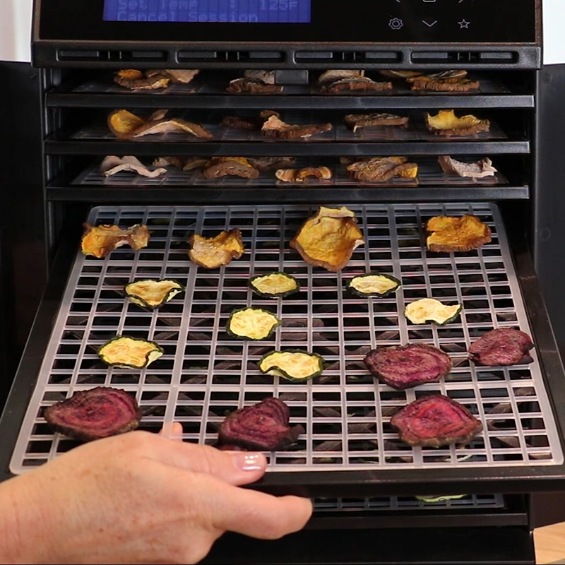 Details about   Healthy Food Chips Dehydrator Dryer 4 racks for Fruits Veggies Meat 